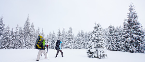 Sticker - Hiker in the winter forest