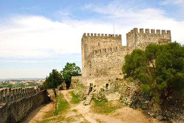 Wall Mural - Castle in Leiria, Portugal