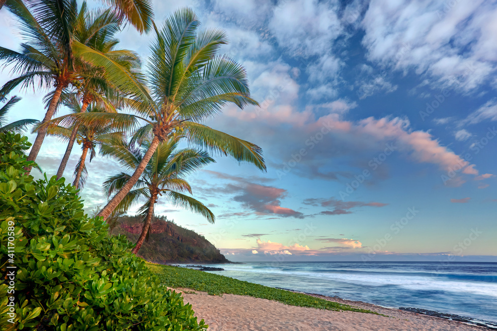 Photo Art Print Plage De Grande Anse Ile De La Réunion