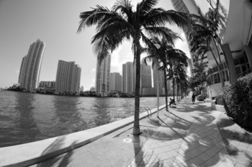 Canvas Print - Detail of Chopin Plaza, Miami