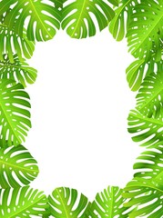 Wall Mural - Tropical leaf background