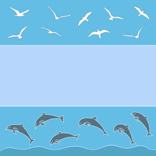 Gulls And Dolphins