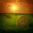 Field with hay bales at twilight.