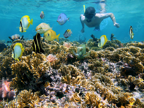 Obraz w ramie Coral reef and snorkeler