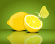 Zitronenfalter mit Zitronen Vektor