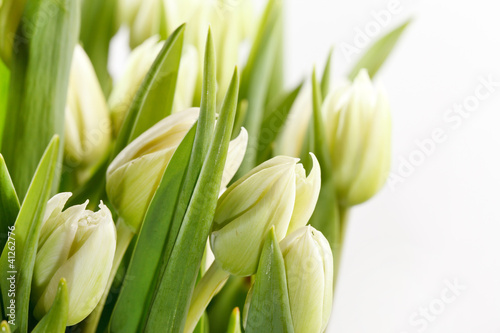 Dekoracja na wymiar  zielone-tulipany