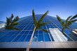 Palm trees and high rises reflect of of glass building