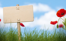 Blank Wooden Sign, Grass And Poppies