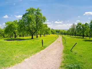 Wall Mural - wanderurlaub