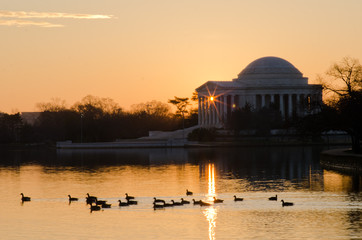 Wall Mural - Jefferson Memorial - Washington dc united states