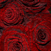 Abstract Grunge Textured Background With Red Roses