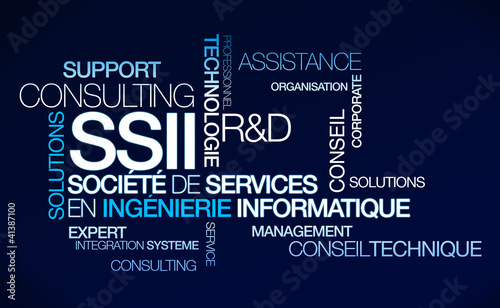 Ssii Societe De Services En Ingenierie Informatique