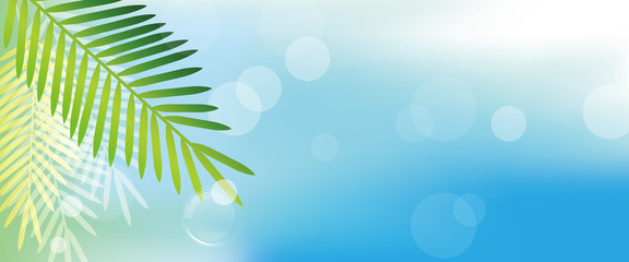 tropical leaves background