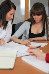 Women office workers interacting