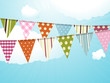 bunting and blue sky