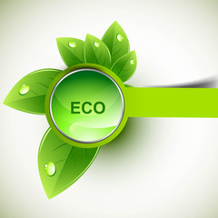 Poster - abstract nature leaf eco ecology shiny green icon vector