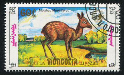 Sticker - Moschus Moschiferus