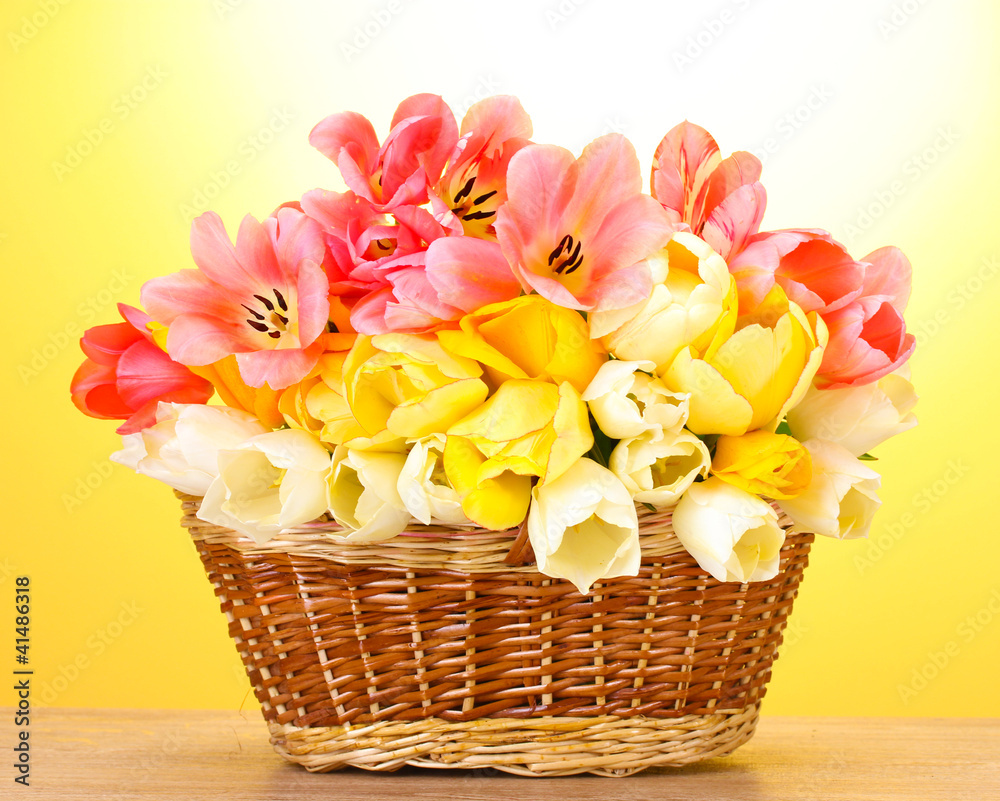 beautiful tulips in basket on wooden table on yellow background.