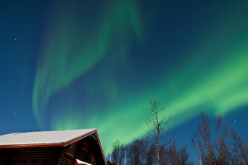 Wall Mural - northern lights (aurora borealis) above a cabin