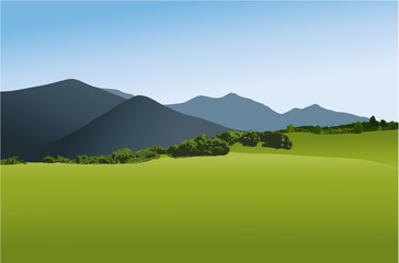 Wall Mural - Mountain landscape with green field