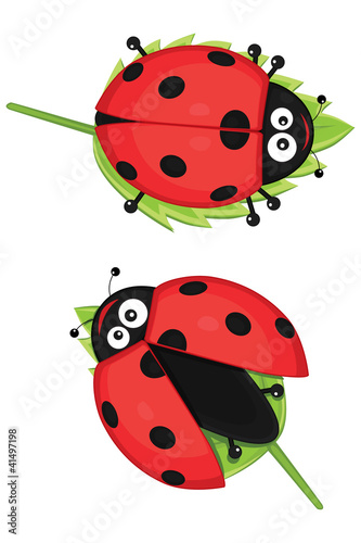 Naklejka ścienna Ladybug