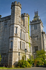 Wall Mural - Adare manor in  Co. Limerick, Ireland