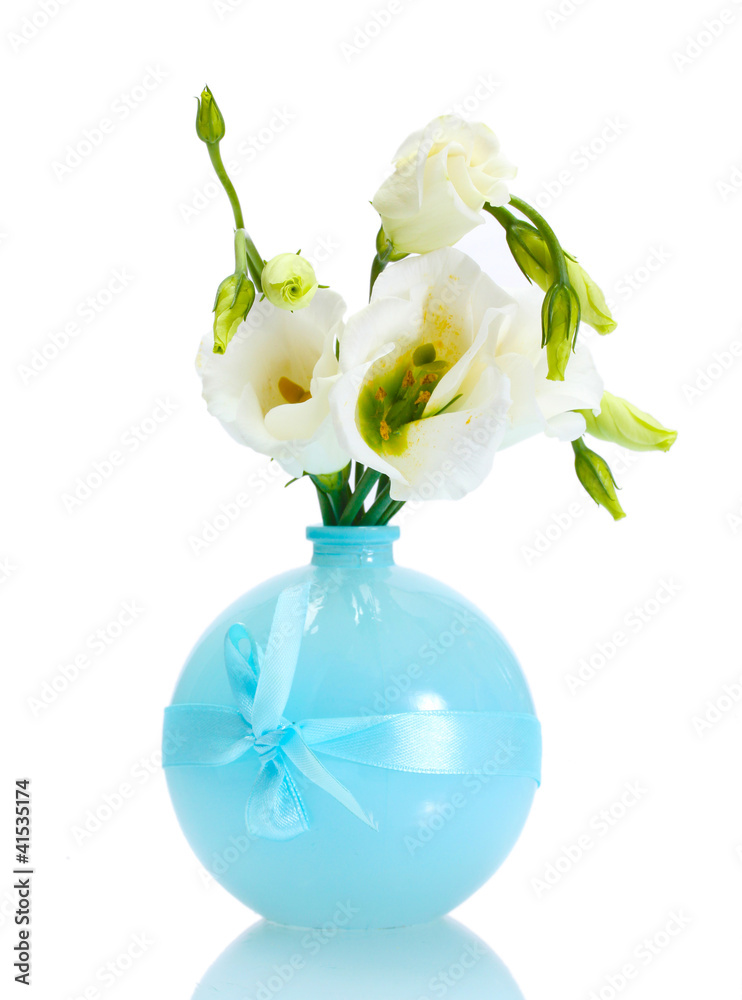 beautiful spring flowers in vase isolated on white