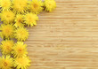 Dandelions on Wood with Copy Space
