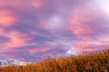 Soft Diffused Colourful Sunset Over Dry Grassland