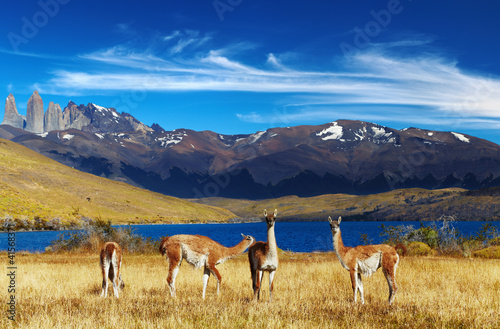 torres-del-paine-patagonia-chile