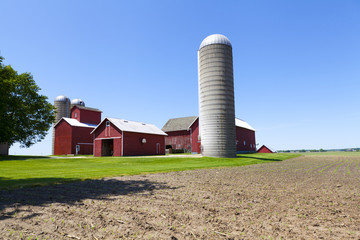 Wall Mural - Farm