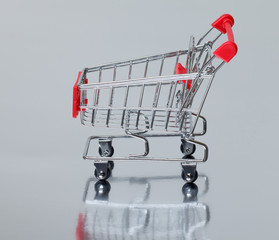 Shopping Cart