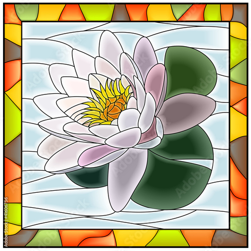 Obraz w ramie Vector illustration of flower white water lily.