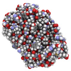 Wall Mural - interferon beta molecule