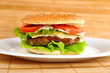 © Denis Tabler - hamburger with cutlet