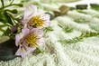 towel background with flowers and stones