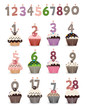 Number Candles Cupcake for Birthday