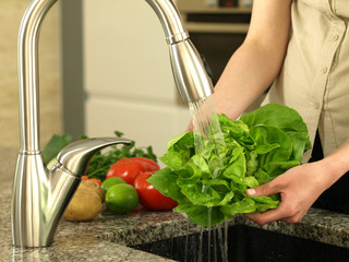 Canvas Print - Washing lettuce