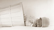 © massimo maghenzani - dormire
