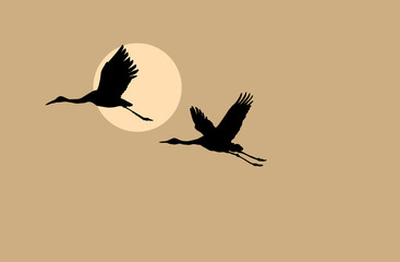 Wall Mural - crane silhouette on solar background