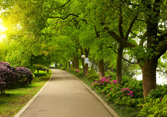 Poster - Summer park road