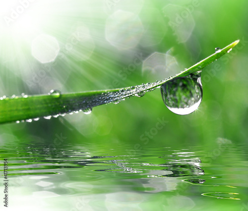 Naklejka na szybę Fresh grass with dew drops close up