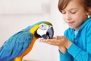 Child with ara parrot