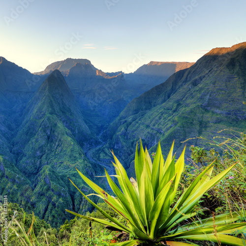 Fototapeta na wymiar Aloes vert dit "choca" devant Mafate, La Réunion.