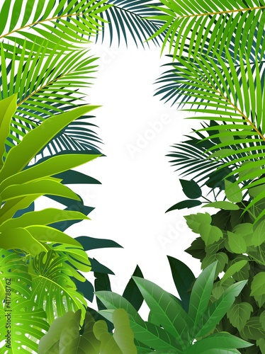 Naklejka na szafę Tropical forest background