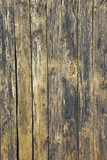 Fototapeta Desenie - Old Wood Background