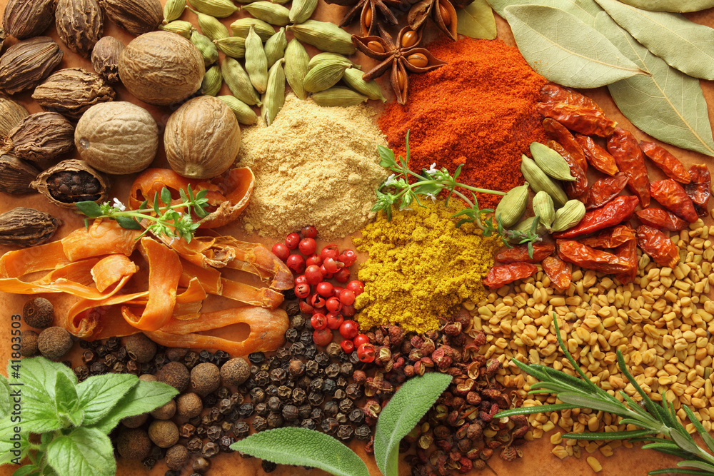 Spices and herbs - obrazy, fototapety, plakaty 