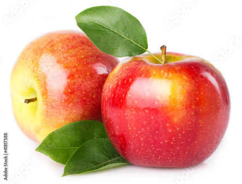 Naklejka - mata magnetyczna na lodówkę Fresh apples