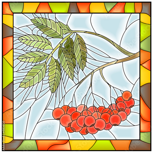 Obraz w ramie Vector illustration of rowan branch with berries.