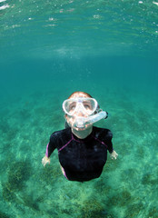 Wall Mural - Woman snorkeling underwater in ocean